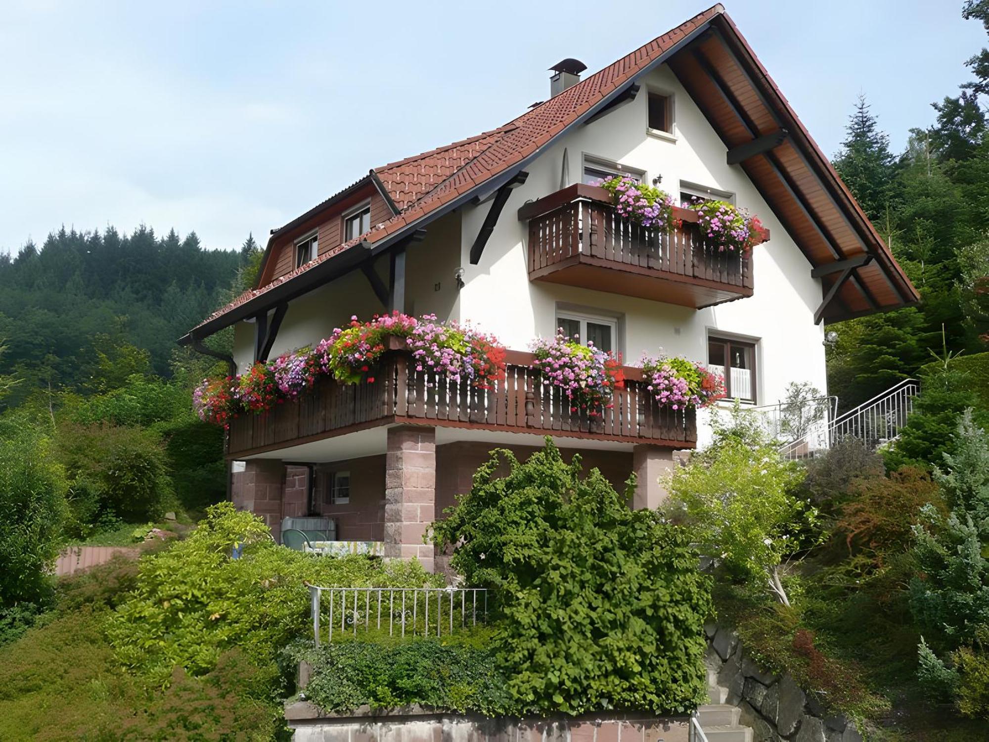 Haus Herbert Panter Bad Peterstal-Griesbach Dış mekan fotoğraf