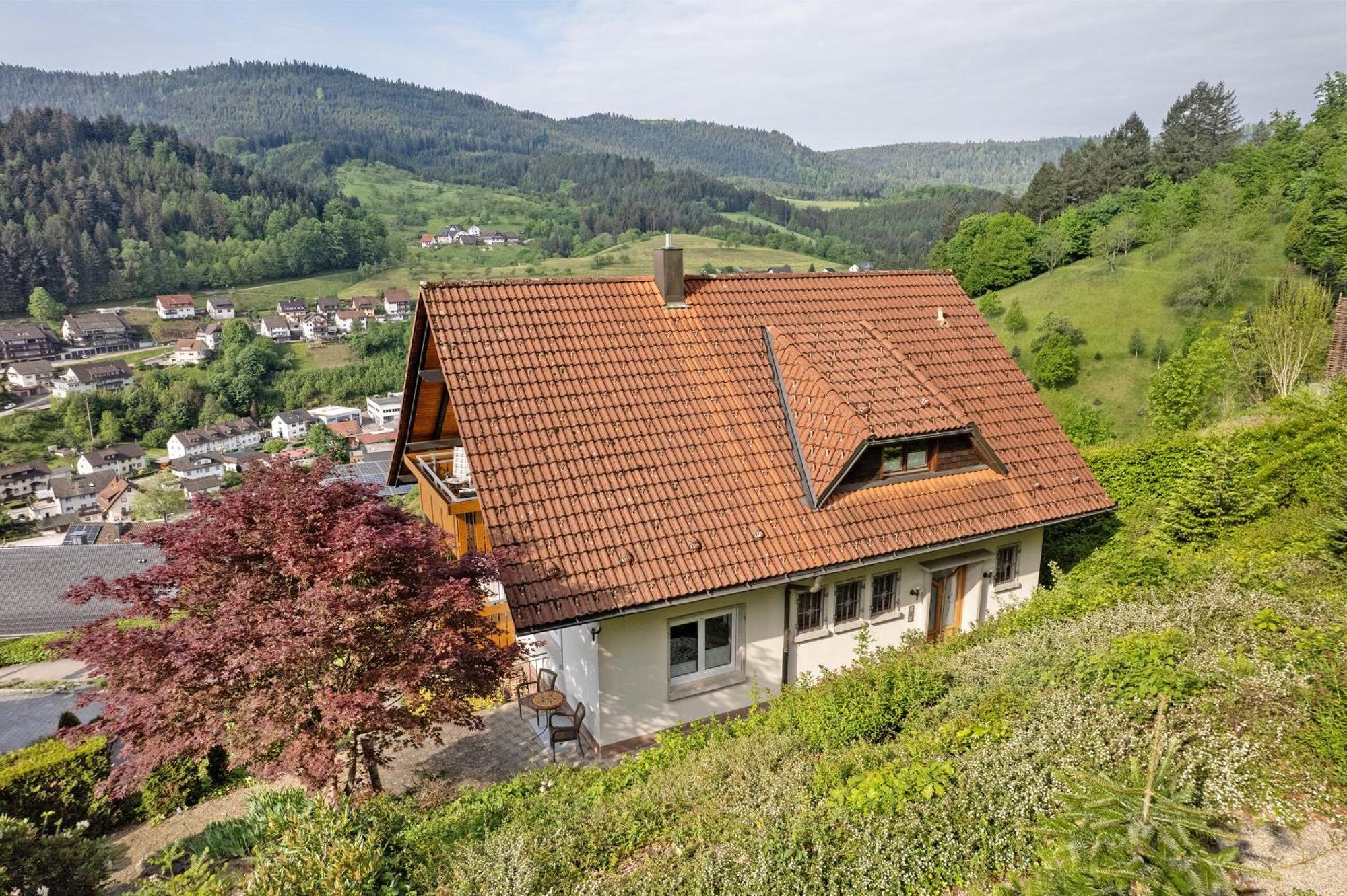 Haus Herbert Panter Bad Peterstal-Griesbach Dış mekan fotoğraf
