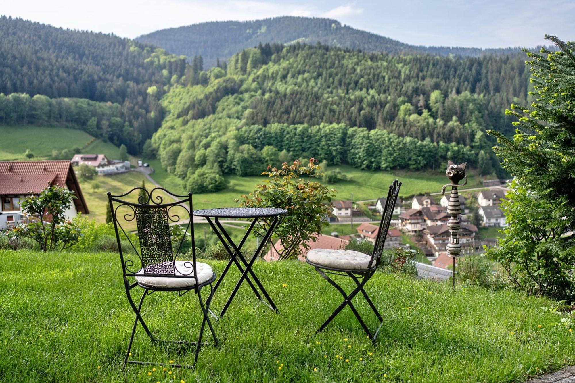 Haus Herbert Panter Bad Peterstal-Griesbach Dış mekan fotoğraf